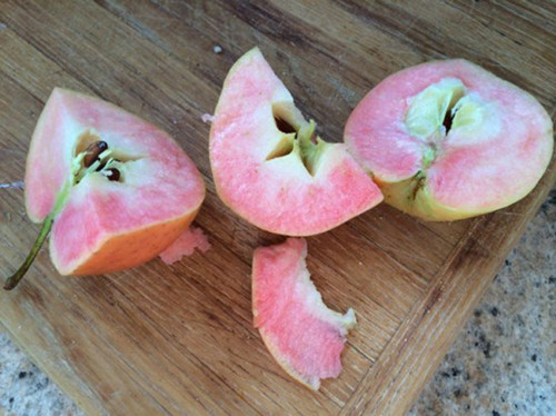 英国超市出售惊喜苹果 果肉为粉色(图)