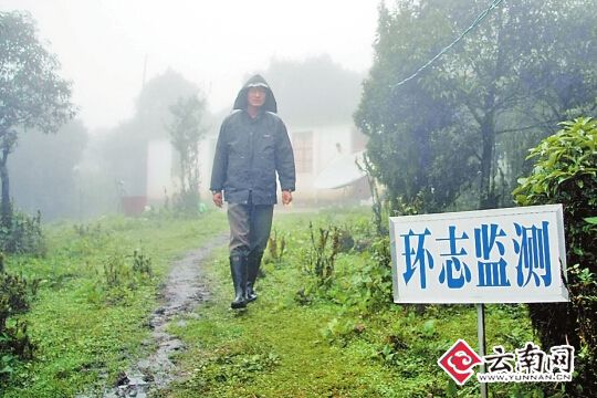 每年253种候鸟经过境 云南多地联合开展“鸟道保护战”