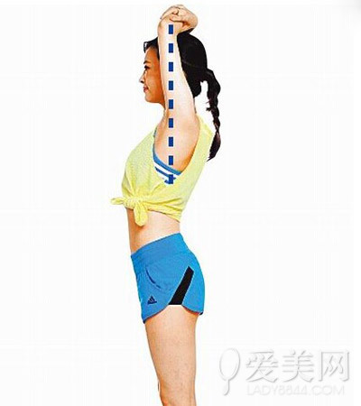  �������ݣ�������ʳ���˶� ���Ľ�ʵ������ 