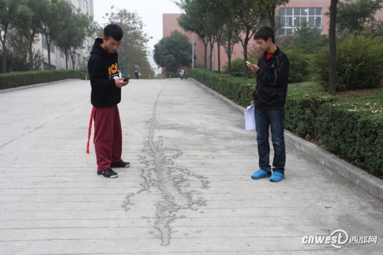 西安南郊一大学里惊现20多米长巨型“蝎子”【6】--陕西频道--人民网