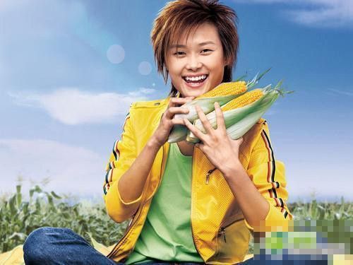 高圆圆汤唯赵薇林志玲 女星土到掉渣广告照曝光