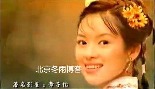 高圆圆汤唯赵薇林志玲 女星土到掉渣广告照曝光