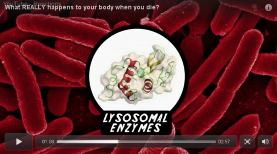 美化学学会发视频揭秘人体死后化学变化