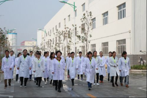 瓦丝琪人口普查_毒蛇神殿 瓦丝琪(3)