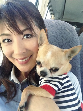 徐若瑄陈建斌允儿 你猜这些明星多少岁?(图)