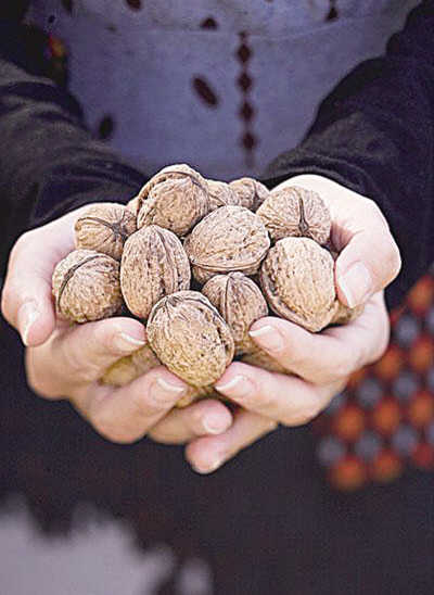 干果热量排行_零食热量大比拼适量坚果最健康