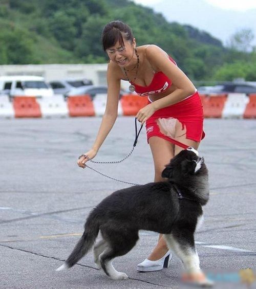 日本猴子边泡温泉边玩手机 盘点各类动物耍流