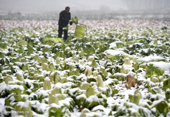 **CHINA-SHANXI-SNOWFALL (CN)