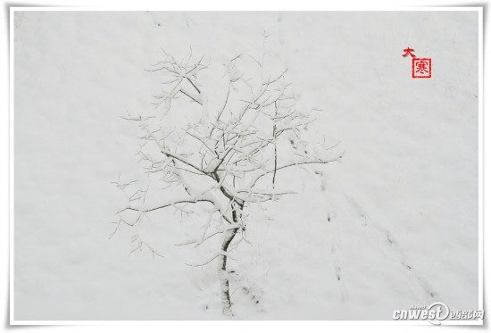 高清:图说西安邮电大学24节气校园风光