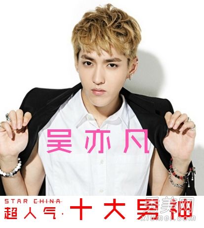 吴亦凡李易峰鹿晗娱乐圈10大超人气男神盘点