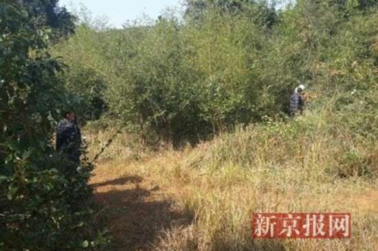 衡东县高湖镇人口_衡东县地图(3)