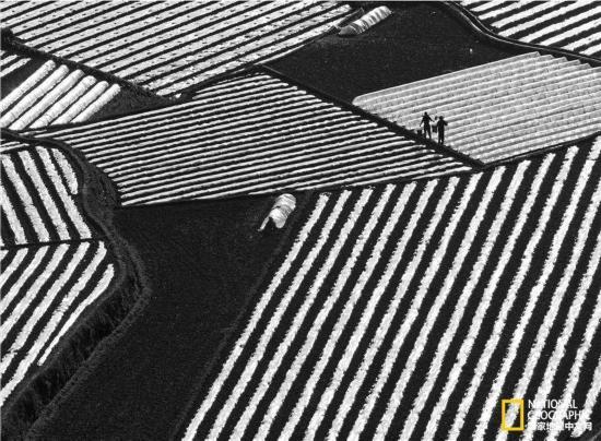 《国家地理》全球摄影大赛中国赛区入围佳作