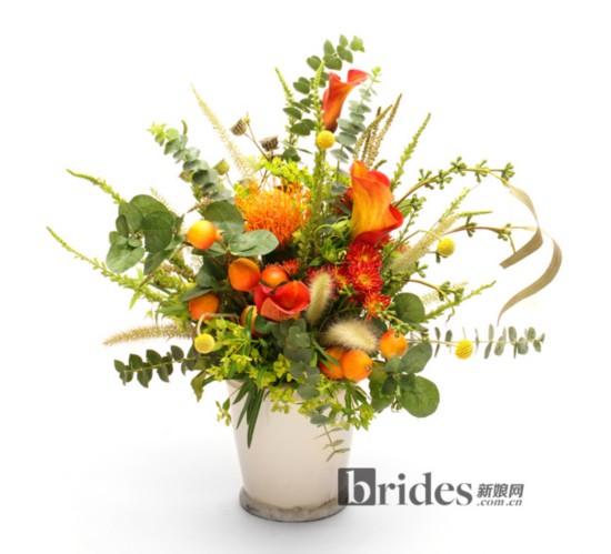 �������ɫ ����������������(6)