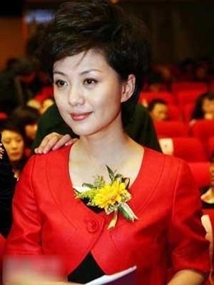 海霞主持人_龙海霞苑_央视主持人海霞收入