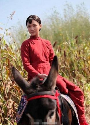 红高粱的秘密:周迅5个替身曝光高度相似(组图