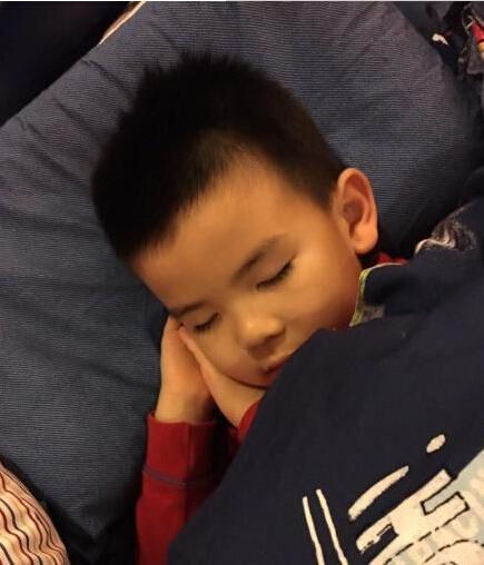 刘涛5岁儿子罕见曝光杨幂女儿心脏偏小 盘点明