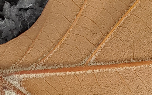 2K+屏极致Hi-Fi指纹识别 MX4 Pro再体验