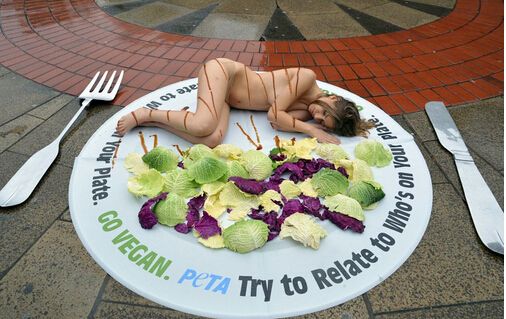 国际素食日提倡清淡饮食 素食10大好处VS十大