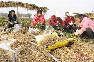武陟县人口_河南武陟县,人口超70万,名字大部分人读错了