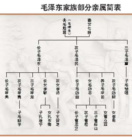 毛泽民外孙讲述:毛泽东三兄弟的革命情谊