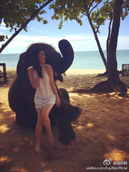  刘亦菲穿清凉白裙与大象合影  像素差遭吐槽--人
