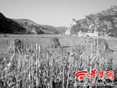 习近平与一个农民的世纪情缘
