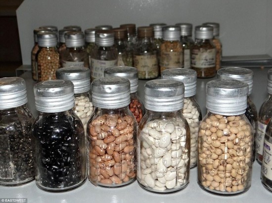 探秘西伯利亚地下诺亚方舟 储存150万种子