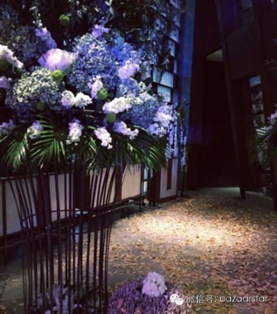 高圆圆赵又廷北京答谢宴现场照高级定制礼服曝