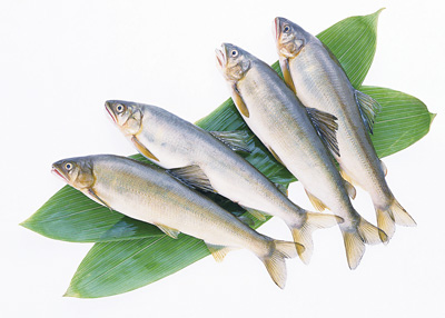 求证:鱼生火肉生痰是真的吗?