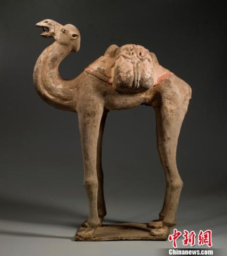 �����ա������� ��Զ����