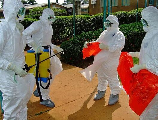 埃博拉病毒最新消息:疫情现反弹之势在塞拉利