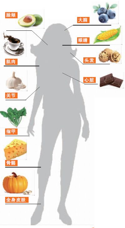 健康养生：盘点人体各部位最佳抗衰老食物