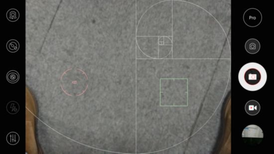 ֻ ֻɫ̵ܴ  