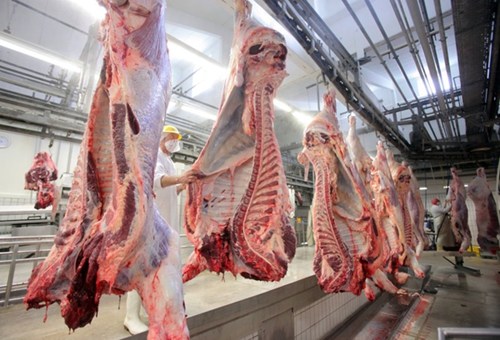 德国肉类加工厂黑工泛滥 海关在全境展开大搜