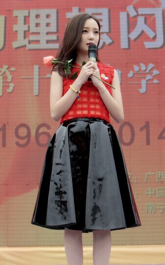 汪小敏返高中校庆人气旺引骚动 数十名保镖护