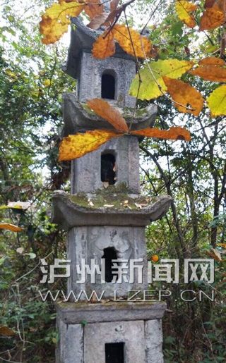 图片版权归原作者所有