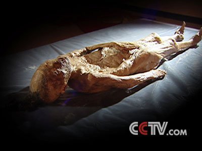 世界各地不腐烂女干尸 疑似香妃被发现?【15】