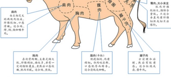 新疆土牛也能产出雪花牛肉