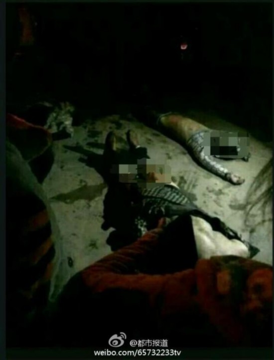 长垣县城人口_长垣 崛起在黄河岸边的璀璨明珠(3)