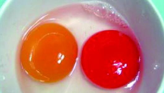 买回咸鸭蛋蛋黄红似血 内行说:颜色太深别吃