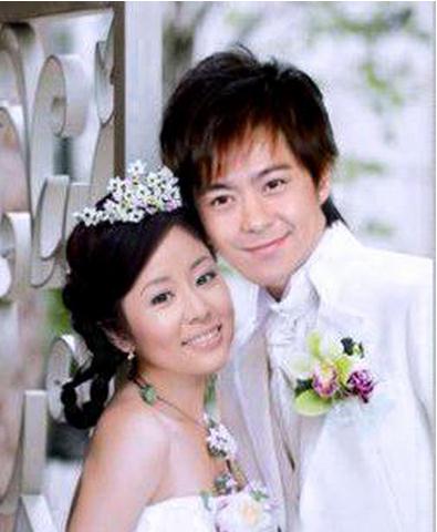 蔡依林周杰伦林志颖林心如 10对明星分手的奇