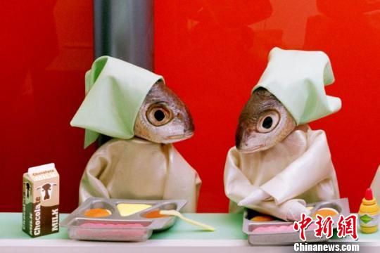 图片版权归原作者所有