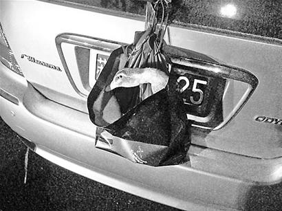 司机贴磁铁号牌逃避限行被逮 盘点奇葩遮挡号