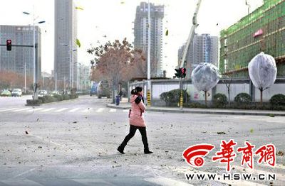 西安降温刮大风 科学地告诉你为啥刮风就会特别冷