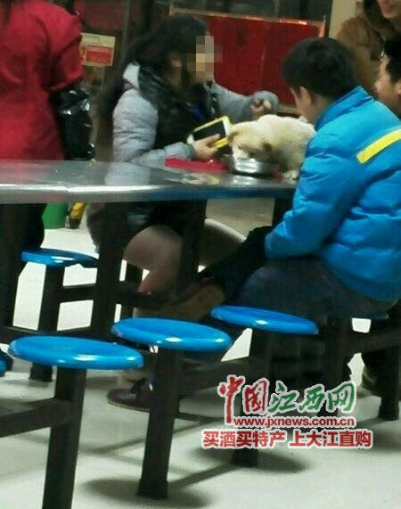 图片来源网络