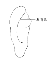 用拇指分别对准两耳背后的降压沟,依据降压沟的走势,由内上向外下按摩