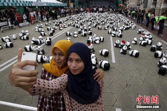 1600ֻֽ����è�ս���¡��