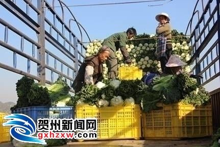 我国人均水资源_东风小康c35_小康人均纯收入标准(2)