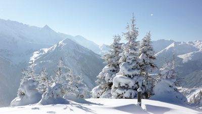 冬瓜解毒冬枣防感冒 冬季多吃四冬--人民网食