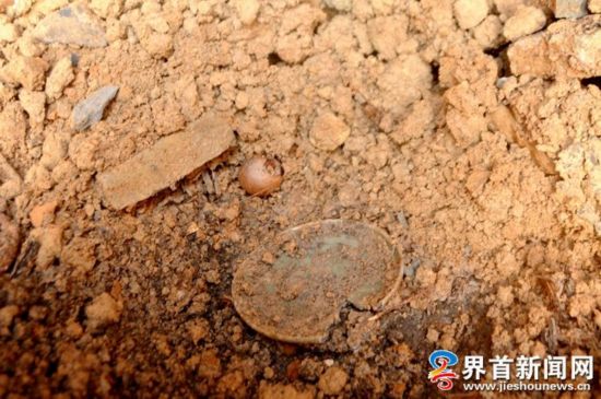 图片版权归原作者所有 图片版权归原作者所有